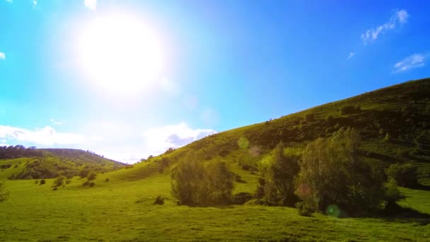 4K UHD mountain meadow timelapse at the summer. Clouds, trees, green grass and sun rays movement. — Stock Video