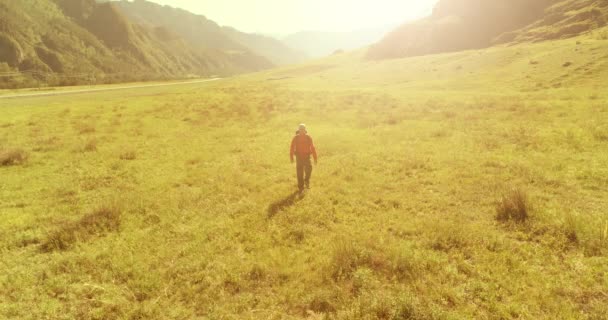 Sırt çantasıyla gezen turist yeşil dağ tarlasında yürüyor. Yaz günü büyük kırsal vadi. — Stok video