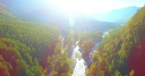 Mittlerer Luftflug über frischem Gebirgsfluss und Wiese am sonnigen Sommermorgen. Schotterpiste unten. — Stockvideo