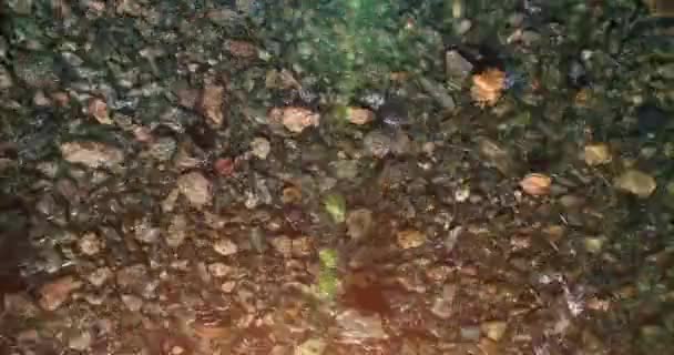 Vuelo en medio del aire sobre un río de montaña fresco y limpio en la soleada mañana de verano. Vista superior y movimiento horizontal — Vídeo de stock