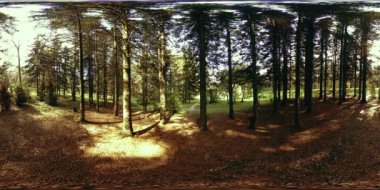 Bir şehir parkının UHD 4K 360 VR Sanal Gerçekliği. Sonbaharda ya da yaz gününde ağaçlar ve yeşil çimenler