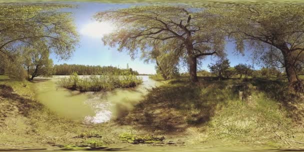 UHD 4k 360 Vr Virtual Reality van een rivier stroomt over rotsen in het prachtige berglandschap van de bos — Stockvideo