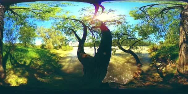 UHD 4K 360: Виртуальная реальность реки, плывущей по скалам в красивом горно-лесном ландшафте — стоковое видео