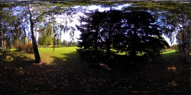 UHD 4K 360 VR Realtà Virtuale di un'area ricreativa del parco cittadino. Alberi ed erba verde al giorno d'autunno o d'estate — Video Stock