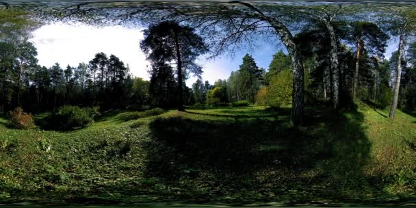 UHD 4K 360 VR Realtà Virtuale di un'area ricreativa del parco cittadino. Alberi ed erba verde al giorno d'autunno o d'estate — Video Stock