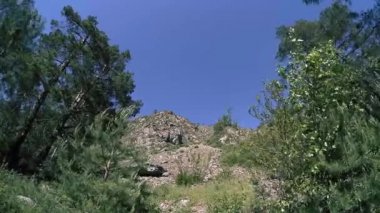 Yazın 4K UHD dağ zaman dilimi. Bulutlar yeşil ağaçları ve güneş ışınlarını hareket ettirir.