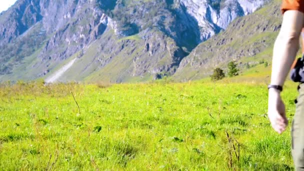 ハイキングのバックパックと緑山の牧草地の上を歩く男。夏のスポーツとレクリエーションの概念. — ストック動画