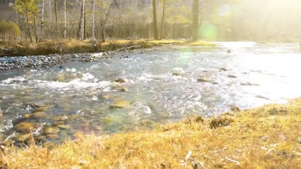 Dolly deslizador de tiro de las salpicaduras de agua en un río de montaña cerca del bosque. Rocas húmedas y rayos de sol. Movimiento horizontal constante. — Vídeo de stock