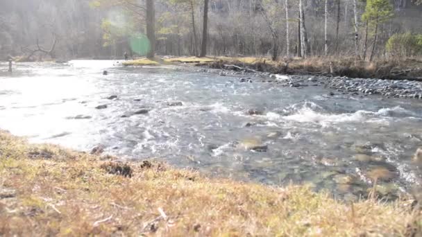 在森林附近的一条山河里，多利滑翔机拍下了飞溅的水花。湿透的岩石和阳光。横向平稳运动。原色扁平. — 图库视频影像