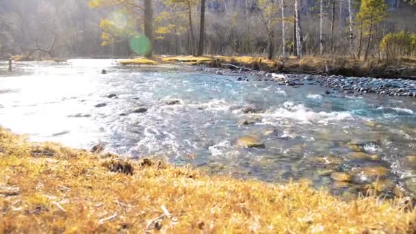 Dolly deslizante tiro da água espirrando em um rio de montanha perto da floresta. Rochas molhadas e raios solares. Movimento horizontal estável. — Vídeo de Stock