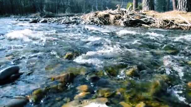 Dolly ormanın yakınındaki bir dağ nehrinde akan suyun kaygan görüntüsü. Islak kayalar ve güneş ışınları. Yatay sabit hareket. — Stok video