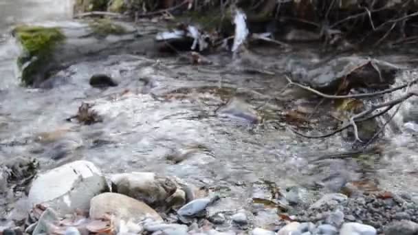 Dolly deslizante tiro da água espirrando em um rio de montanha perto da floresta. Rochas molhadas e raios solares. Movimento horizontal estável. Cores planas brutas. — Vídeo de Stock