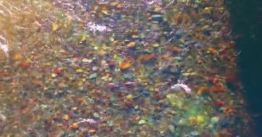 Güneşli yaz sabahında temiz ve taze bir dağ nehri üzerinde uçuşun ortasındayız. Üst görünüm ve yatay hareket