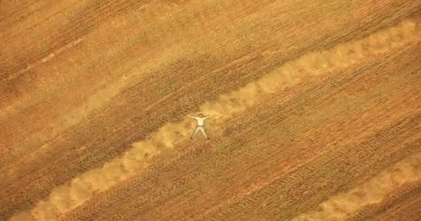 Aerial view. Vertical motion flight over man lying on yellow wheat field — Stock Video