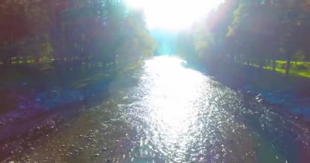 Vuelo en medio del aire sobre un río de montaña fresco y limpio en la soleada mañana de verano — Vídeo de stock