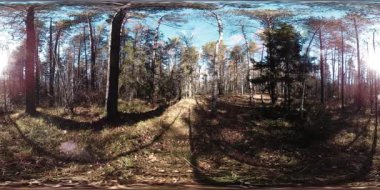 4k Sonbahar zaman bir güzel dağ sahnenin 360 Vr sanal gerçeklik. Vahşi Rus dağlar.