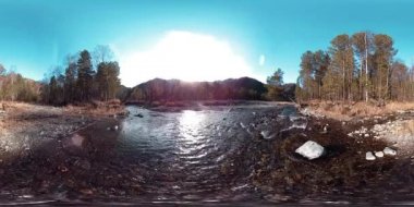 Vahşi dağların, çam ormanlarının ve nehir akışlarının 360 VR sanal gerçekliği. Ulusal park, çayır ve güneş ışınları.