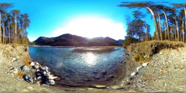 Vahşi dağların, çam ormanlarının ve nehir akışlarının 360 VR sanal gerçekliği. Ulusal park, çayır ve güneş ışınları.