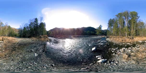 360 VR realidade virtual de uma montanha selvagem, pinhal e fluxos de rio. Parque nacional, prado e raios de sol. — Vídeo de Stock