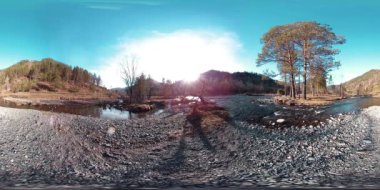 Vahşi dağların, çam ormanlarının ve nehir akışlarının 360 VR sanal gerçekliği. Ulusal park, çayır ve güneş ışınları.