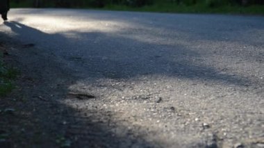 Asfalt yolda koşan sporcu. Kırsal şehir parkı. Yeşil ağaç ormanı ve ufukta güneş ışığı.