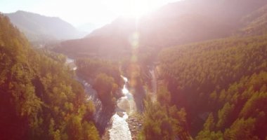 Güneşli yaz sabahında taze dağ nehri ve çayır üzerinde uçuşun ortasında. Aşağıdaki kırsal toprak yol.