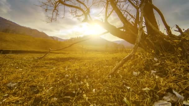 Lapso de tempo da árvore da morte e grama amarela seca na paisagem montanhosa com nuvens e raios de sol. Movimento deslizante horizontal — Vídeo de Stock