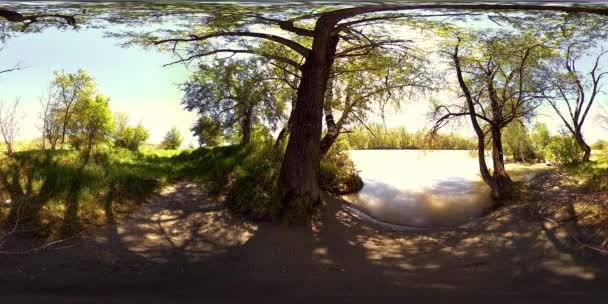 UHD 4K 360 VR Virtuelle Realität eines Flusses fließt über Felsen in wunderschöner Berglandschaft — Stockvideo