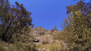 Yazın 4K UHD dağ zaman dilimi. Bulutlar yeşil ağaçları ve güneş ışınlarını hareket ettirir.