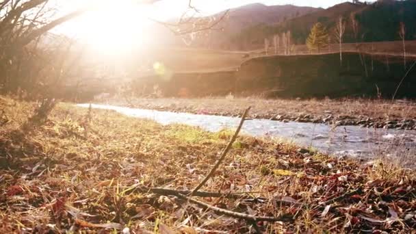 Доллі повзунок знімок бризкаючої води в гірській річці поблизу лісу. Мокрі скелі та сонячні промені. Горизонтальний стійкий рух . — стокове відео