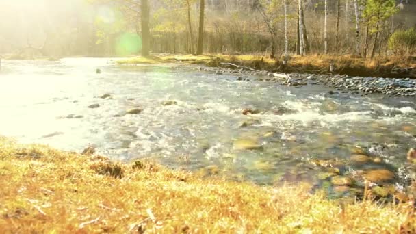 Dolly deslizador de tiro de las salpicaduras de agua en un río de montaña cerca del bosque. Rocas húmedas y rayos de sol. Movimiento horizontal constante. — Vídeo de stock