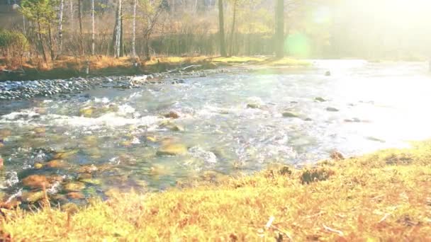森の近くの山の川で水しぶきのドリースライダーショット。ぬれた岩や太陽の光線。水平安定運動. — ストック動画