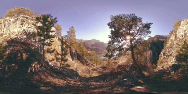 VR sceny góra jesień czas słoneczny. Dzikie góry, sosny i ogromne skały. — Wideo stockowe