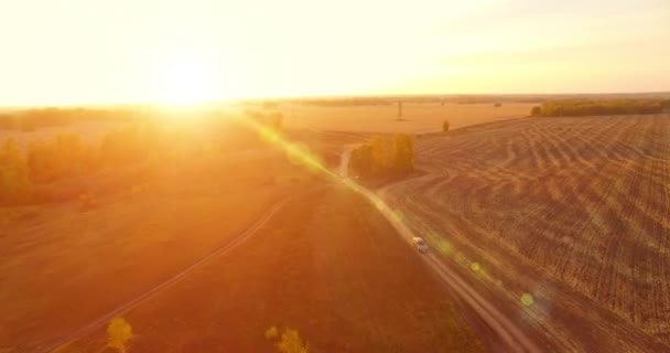 UHD 4K vedere aeriană. Zbor în aer peste câmp rural galben și drum de murdărie — Videoclip de stoc