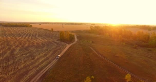 UHD 4K vedere aeriană. Zbor în aer peste câmp rural galben și drum de murdărie — Videoclip de stoc