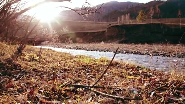Dolly suwak strzał z rozbryzgu wody w górskiej rzece w pobliżu lasu. Mokre skały i promienie słoneczne. Stały ruch w poziomie. — Wideo stockowe