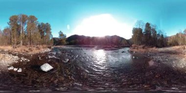 Vahşi dağların, çam ormanlarının ve nehir akışlarının 360 VR sanal gerçekliği. Ulusal park, çayır ve güneş ışınları.