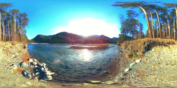 Vahşi dağların, çam ormanlarının ve nehir akışlarının 360 VR sanal gerçekliği. Ulusal park, çayır ve güneş ışınları. — Stok video