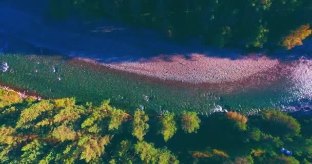 Vuelo en medio del aire sobre un río de montaña fresco y limpio en la soleada mañana de verano. Movimiento vertical — Vídeos de Stock