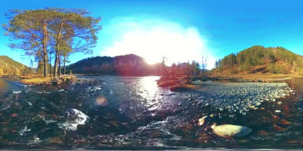 360 VR réalité virtuelle d'une montagne sauvage, pinède et rivière coule. Parc national, prairie et rayons du soleil. — Video