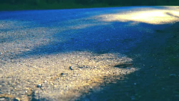 Sport man running at asphalt road. Rural city park. Green tree forest and sun rays on horizon. — Stock Video