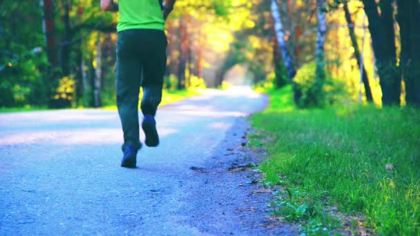 Sport man running at asphalt road. Rural city park. Green tree forest and sun rays on horizon. — Stock Video