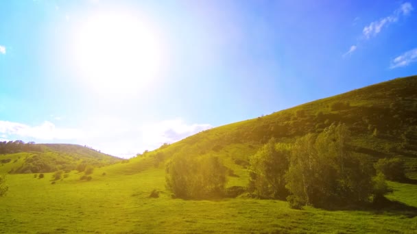 4K UHD mountain meadow timelapse at the summer. Clouds, trees, green grass and sun rays movement. — Stock Video