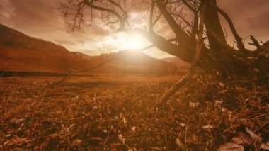 4K UHD ölüm ağacı ve kuraklık felaketi, dağlık arazide bulutlu ve güneş ışınlı kuru sarı çimenler ve toprak. İklim değişikliği, küresel ısınma ve ekoloji problemi kavramı. Yatay