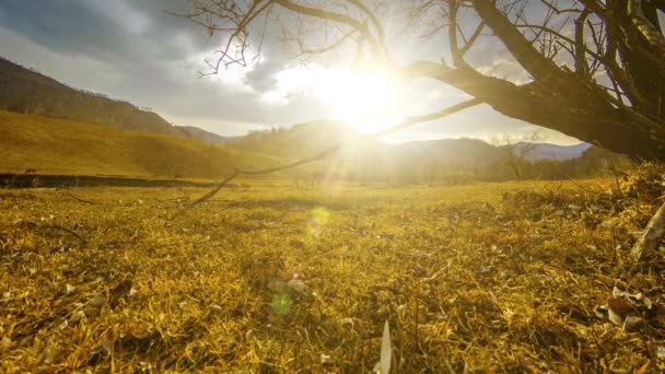 Czas upływa od drzewa śmierci i suchej żółtej trawy na górskim krajobrazie z chmurami i promieniami słońca. Poziomy ruch suwaka — Wideo stockowe