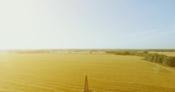 Vuelo de movimiento vertical cerca de la torre de alta tensión y líneas eléctricas en el campo verde y amarillo — Vídeos de Stock