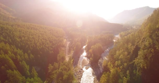 Vol en vol au-dessus d'une rivière de montagne fraîche et d'un pré au matin ensoleillé d'été. Chemin de terre rural en dessous. — Video