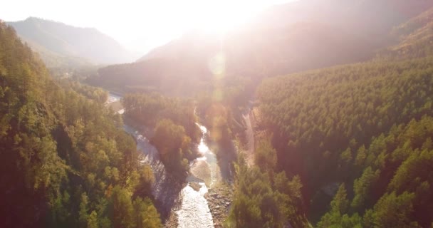 Volo a mezz'aria sul fiume fresco di montagna e prato al mattino d'estate soleggiato. Strada sterrata rurale sotto. — Video Stock