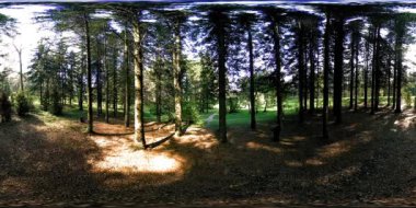 Bir şehir parkının UHD 4K 360 VR Sanal Gerçekliği. Sonbaharda ya da yaz gününde ağaçlar ve yeşil çimenler. Yol ve güneş ışınları. Özgün ses.