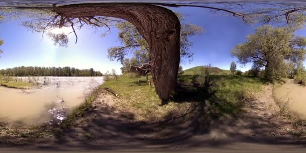 UHD 4K 360 VR La realidad virtual de un río fluye sobre rocas en un hermoso paisaje de bosque de montaña — Vídeo de stock